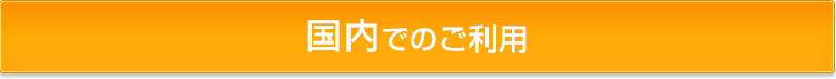 国内でのご利用